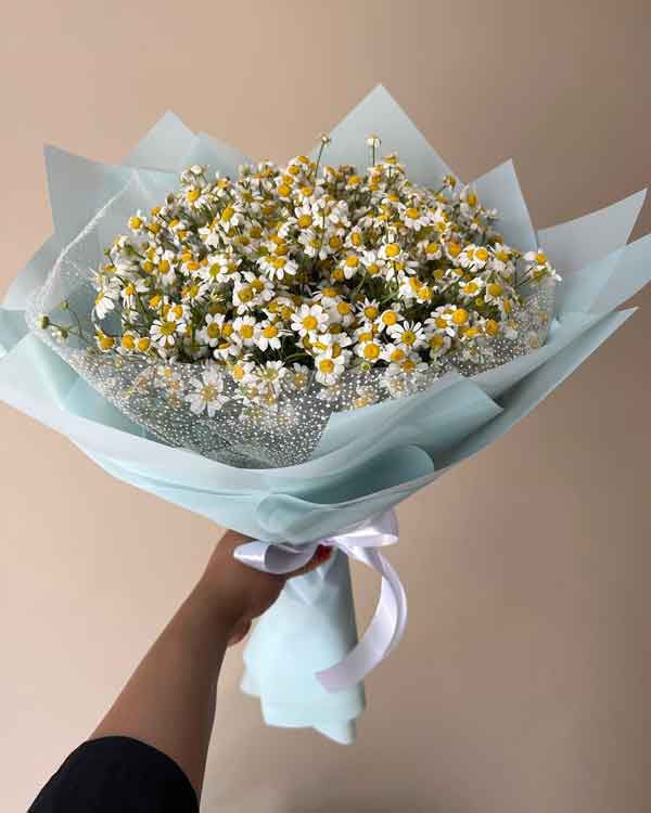 خواص دمنوش بابونه برای مردان خواص بابونه برای رحم خواص بابونه برای عفونت خواص بابونه برای هورمون خواص بابونه برای قاعدگی خواص بابونه برای کیست تخمدان خواص بابونه برای روده خواص بابونه و آویشن