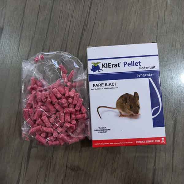 تعبیر خواب حمله موش تعبیر خواب موش و مارمولک در خانه تعبیر خواب موش کوچولو تعبیر خواب موش تعبیر خواب کشتن موش توسط مار تعبیر خواب موش سفید تعبیر خواب کشتن موش یوسف پیامبر تعبیر خواب سوسک و موش
