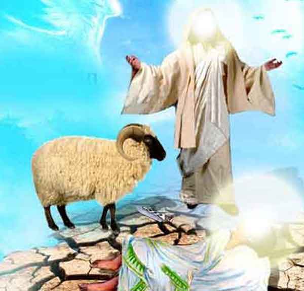 تعبیر خواب ذبح انسان امام صادق + تعبیر خواب ذبح گوسفندان حضرت یوسف