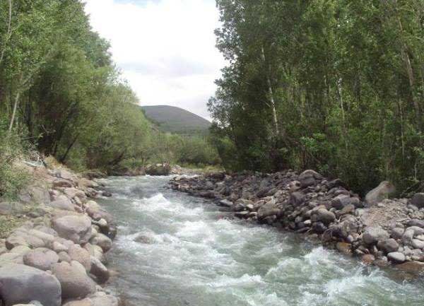 تعبیر خواب آب سبز رنگ + رنگ سبز امام صادق و آب سبز رنگ برای دختر مجرد
