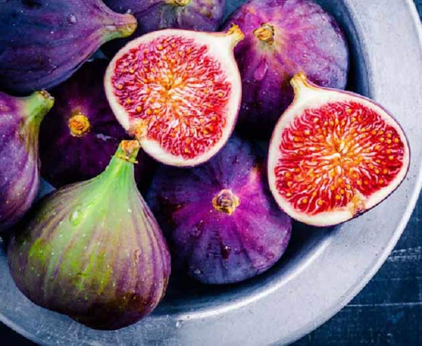 تعبیر خواب انجیر چیست + حضرت یوسف و انجیر سیاه از نظر امام صادق