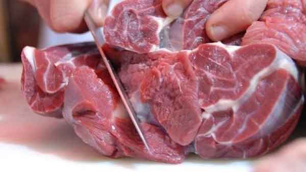 تعبیر خواب گوشت آهو از حضرت یوسف تعبیر خواب آهو از حضرت یوسف تعبیر خواب آهو در خواب زن تعبیر خواب آهو امام صادق تعبیر خواب آهو برای زن باردار نی نی سایت تعبیر خواب آهو برای دختر مجرد تعبیر خواب آهو در خانه تعبیر خواب آهو زنده