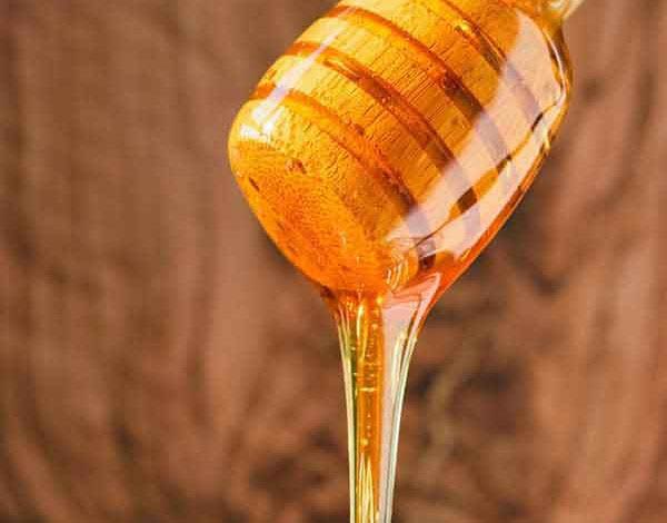 تعبیر خواب چاه عسل + کندو عسل حضرت یوسف و عسل خوردن امام صادق