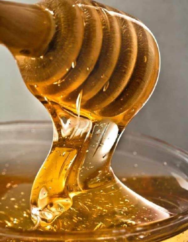 تعبیر خواب دادن عسل به دیگری + کندو عسل حضرت یوسف و دادن عسل به مرده