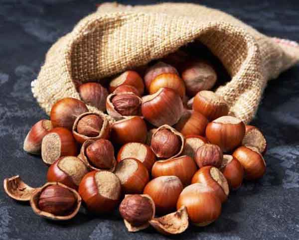 تعبیر خواب فندق در بارداری + جنسیت جنین امام صادق و حضرت یوسف