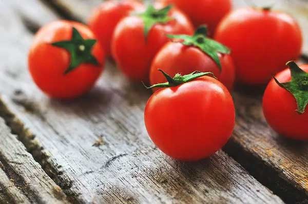 تعبیر خواب گوجه فرنگی ابن سیرین + چیدن گوجه فرنگی امام صادق و حضرت یوسف