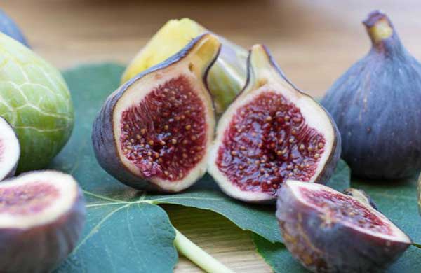 تعبیر خواب خوردن انجیر + انجیر سیاه از نظر امام صادق و انجیر زرد تازه حضرت یوسف
