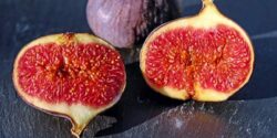 تعبیر خواب خوردن انجیر شیرین + انجیر سیاه از نظر امام صادق و انجیر زرد تازه