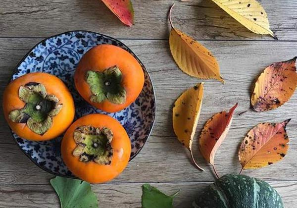 تعبیر خواب خرمالو دیدن از درخت + درخت خرمالو ابن سیرین و امام صادق