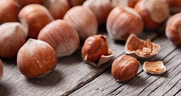 تعبیر خواب مغز فندق + امام صادق و حضرت یوسف و فندق هدیه گرفتن