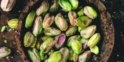 تعبیر خواب پسته کوهی + چیدن پسته کوهی از درخت برای دختر مجرد