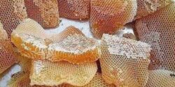 تعبیر خواب عسل خوردن با موم + عسل با موم حضرت یوسف و کندو عسل