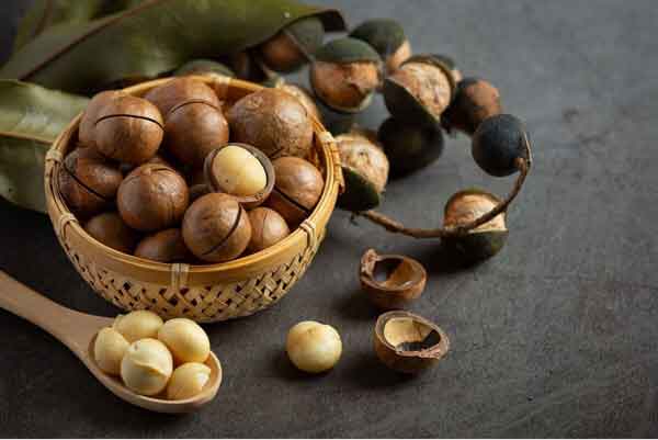 تعبیر خواب فندق نی نی سایت تعبیر خواب فندق برای زن باردار تعبیر خواب فندق و پسته تعبیر خواب درخت فندق تازه تعبیر خواب فندق امام صادق تعبیر خواب فندق حضرت یوسف تعبیر خواب خوردن مغز فندق