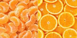تعبیر خواب پرتقال و نارنگی + حضرت یوسف و درخت پرتقال امام صادق و ابن سیرین