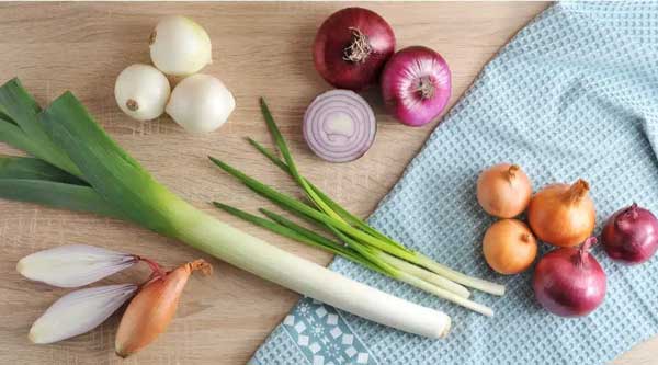 تعبیر خواب پیاز در بارداری + حضرت یوسف و خوردن پیاز خام و پیاز گرفتن از دیگران