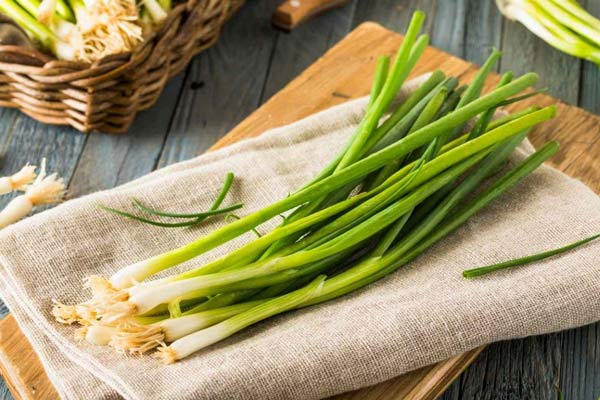 تعبیر خواب پیازچه حضرت یوسف و چیدن پیازچه سبز برای دختر مجرد