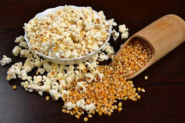 تعبیر خواب ذرت بو داده + برای دختر مجرد و ذرت حضرت یوسف و بلال امام صادق