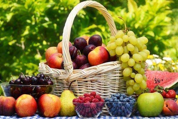 تعبیر خواب گیلاس و هلو + چیدن گیلاس از درخت حضرت یوسف و امام صادق