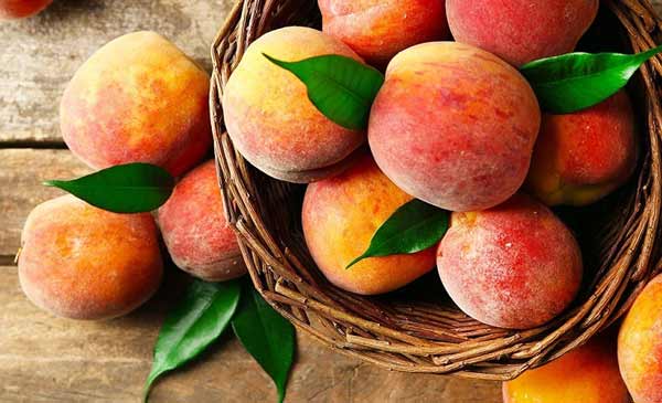 تعبیر خواب هلو قرمز + حضرت یوسف و خوردن هلو امام صادق برای دختر مجرد