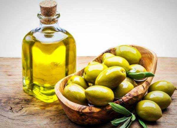 تعبیر خواب زیتون خوردن + حضرت یوسف و امام صادق و زیتون سبز ابن سیرین