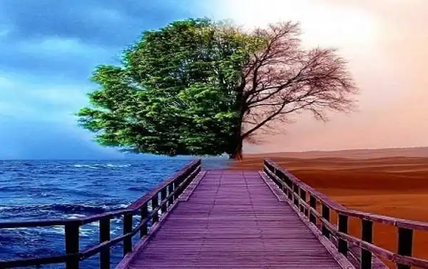 تعبیر خواب بهشت و جهنم + امام صادق  برای دختر مجرد و دیدن بهشت واقعی