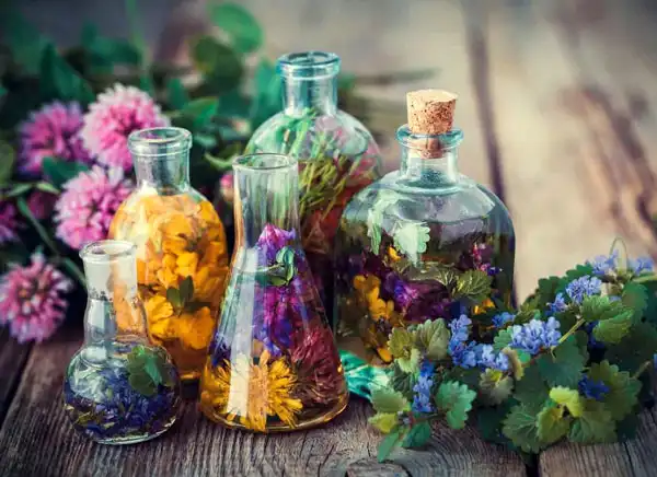 تعبیر خواب عرق گیاهی + عرق بیدمشک و عرق بادرنجبویه و عرق کشمش