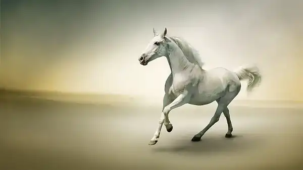 تعبیر خواب اسب برای زن حامله و زن باردار + دیدن اسب سفید در خواب زن باردار