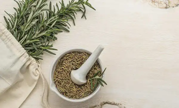 تعبیر خواب آویشن تازه از دید امام صادق + ابن سیرین برای زن باردار و چیدن گیاه سبز
