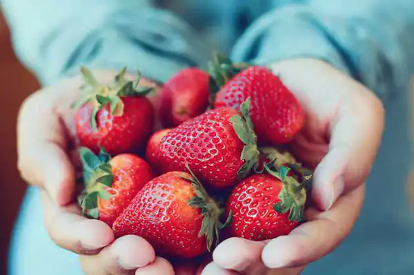 تعبیر خواب باغ توت فرنگی + توت فرنگی برای زن متاهل حضرت یوسف