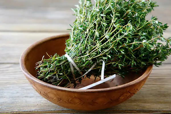 تعبیر خواب گیاه آویشن از دید امام صادق + ابن سیرین و اویشن برای زن باردار
