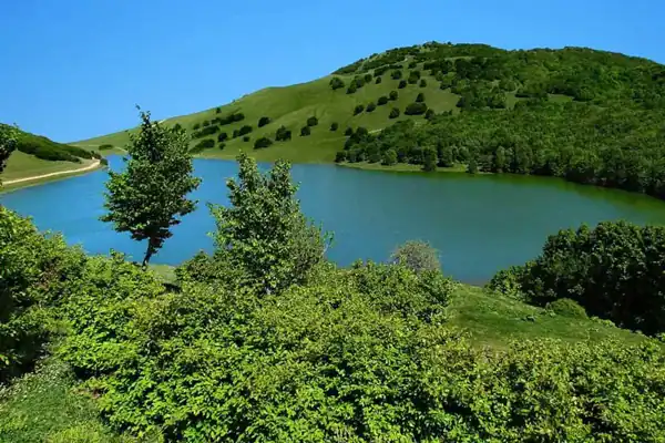 تعبیر خواب جنگل و کوه + جنگل سرسبز و رودخانه برای دختر مجرد و جنگل ترسناک