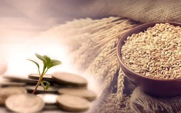 تعبیر خواب کفاره از دید ابن سیرین و امام صادق و حضرت یوسف و منوچهر مطیعی