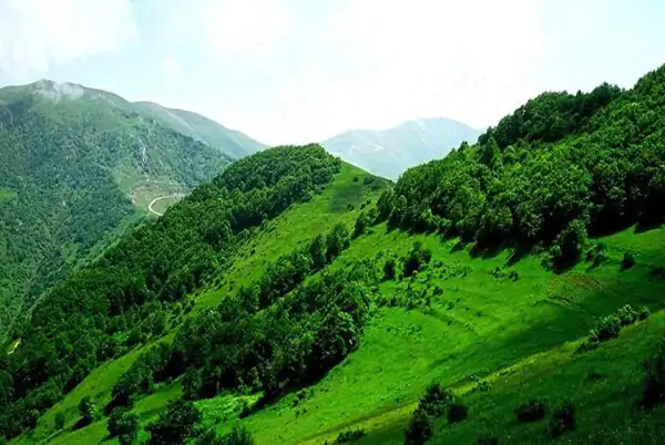 تعبیر خواب کوه و سبزه + حضرت یوسف و دشت سرسبز امام صادق