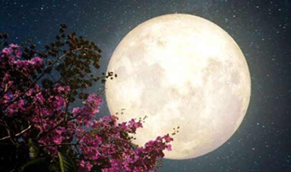 تعبیر خواب ماه شوال + امام صادق و روزهای ماه قمری با قرآن و روزهای ماه شیخ بهایی