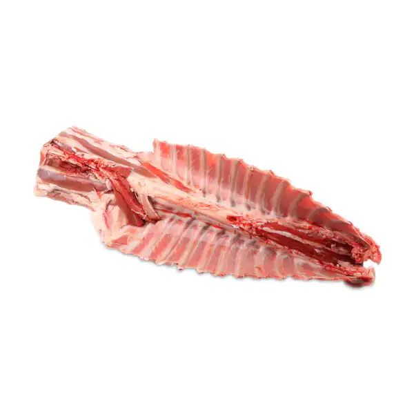 تعبیر خواب استخوان گوسفندی + قلم گوسفندی و استخوان مرغ پخته شده