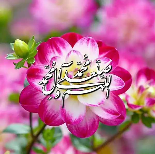 تعبیر خواب صلوات فرستادن از ترس جن + صلوات فرستادن از امام صادق دختر مجرد