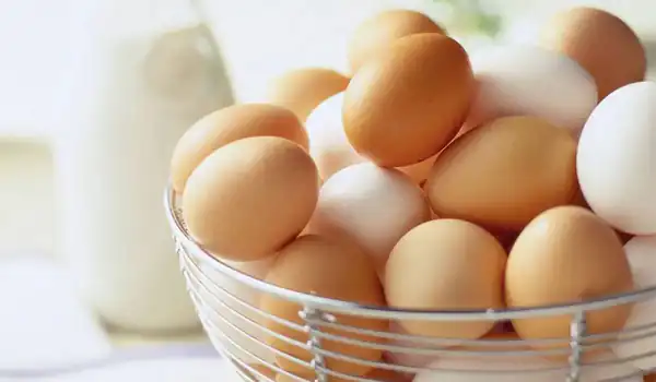 تعبیر خواب تخمه مرغ برای زن متاهل از امام صادق + تخمه مرغ خام برای زن