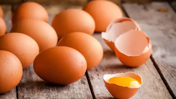 تعبیر خواب تخمه مرغ بزرگ از امام صادق و حضرت یوسف برای زن متاهل