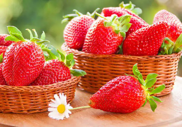 تعبیر خواب توت فرنگی چیدن برای زن متاهل و دختر مجرد امام صادق و حضرت یوسف