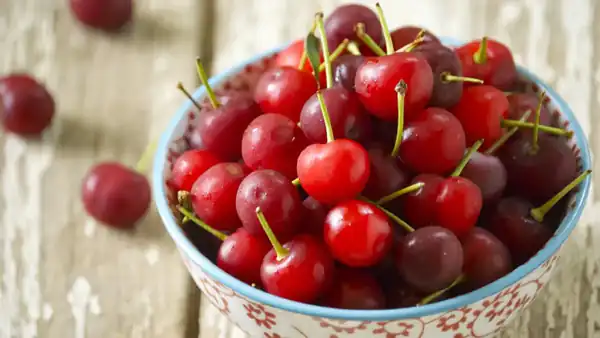 تعبیر خواب آلبالو چیست + چیدن آلبالو امام صادق و حضرت یوسف برای زن باردار