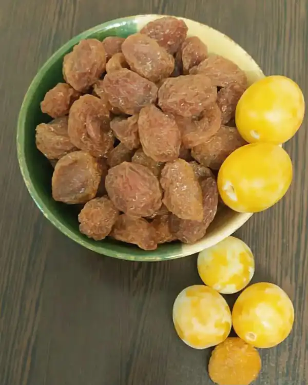 تعبیر خواب آلو خورشتی و آلو سیاه امام صادق و آلو خشک و بخارا