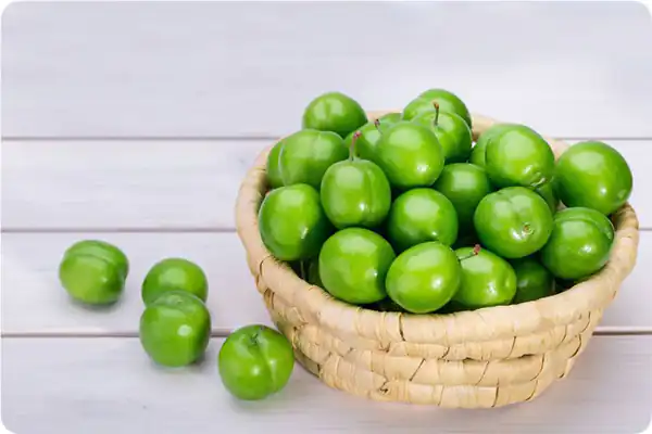 تعبیر خواب آلو سبز + آلوچه سبز برای دختر مجرد و چیدن آلوچه از درخت