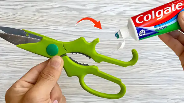 تعبیر خواب قیچی حضرت یوسف تعبیر خواب قیچی امام صادق تعبیر خواب قیچی در دست مرده تعبیر خواب قیچی ابرو تعبیر خواب قیچی خریدن تعبیر خواب قیچی برای دختر مجرد تعبیر خواب قیچی کردن لباس دیگران تعبیر خواب قیچی در دست دیگری