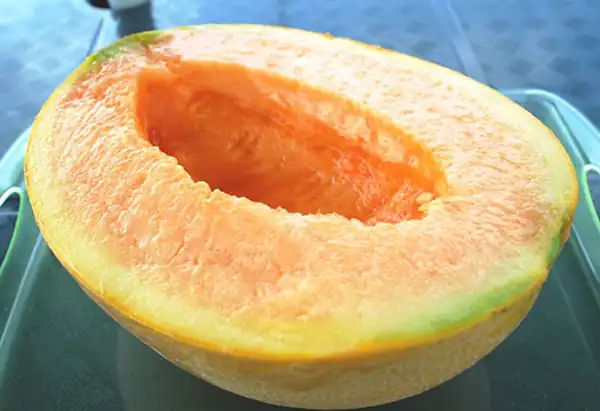 تعبیر خواب گرمک برای زن باردار تعبیر خواب طالبی برای زن باردار نی نی سایت تعبیر خواب طالبی رسیده تعبیر خواب طالبی گرفتن تعبیر خواب گرفتن طالبی از مرده تعبیر خواب طالبی و خربزه تعبیر خواب طالبی قاچ شده تعبیر خواب طالبی نی نی سایت