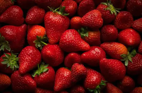 تعبیر خواب توت فرنگی برای زن متاهل تعبیر خواب توت فرنگی حضرت یوسف تعبیر خواب توت فرنگی امام صادق تعبیر خواب توت فرنگی برای دختر مجرد تعبیر خواب چیدن توت فرنگی از درخت تعبیر خواب خوردن توت فرنگی ابن سیرین تعبیر خواب توت فرنگی و جنسیت جنین نی نی سایت تعبیر خواب توت فرنگی سیاه