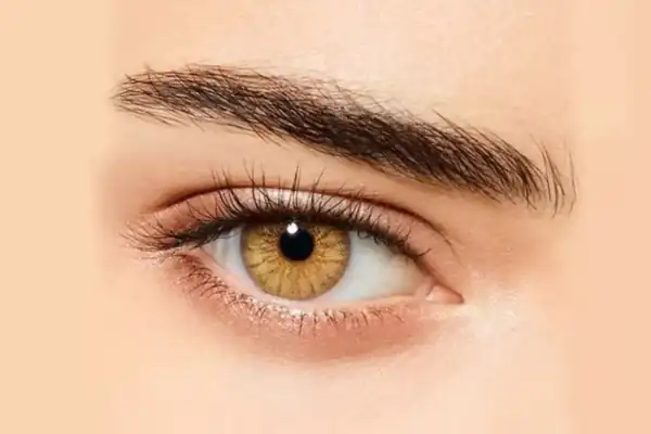 تعبیر خواب چشم قهوه ای روشن تعبیر خواب عفونت چشم امام صادق تعبیر خواب سیاه کردن چشم تعبیر خواب چشم در آسمان تعبیر خواب کور شدن چشم دیگران تعبیر خواب چشم دو رنگ تعبیر خواب تغییر رنگ چشم به زرد تعبیر خواب چشم نورانی