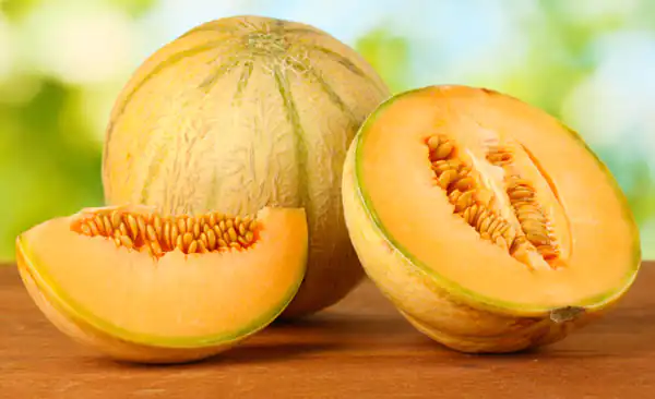 تعبیر خواب طالبی برای زن باردار نی نی سایت تعبیر خواب طالبی حضرت یوسف تعبیر خواب طالبی نی نی سایت تعبیر خواب طالبی سبز تعبیر خواب گرمک برای زن باردار تعبیر خواب طالبی برای دختر مجرد تعبیر خواب طالبی زرد تعبیر خواب طالبی و خربزه