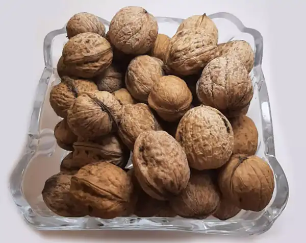 تعبیر خواب گردو امام صادق تعبیر خواب گردو از حضرت یوسف تعبیر خواب گردو تازه تعبیر خواب جمع کردن گردو از زمین امام صادق تعبیر خواب گردو با پوست خشک تعبیر خواب چیدن گردو سبز از درخت تعبیر خواب گردو جمع کردن تعبیر خواب گردو گرفتن از مادر