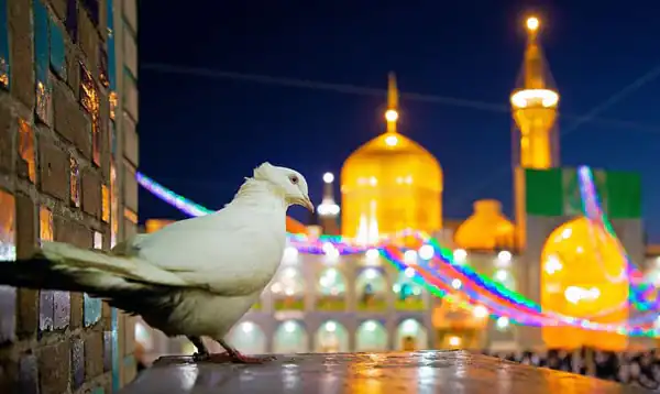 تعبیر خواب عزم سفر به مشهد + قصد سفر به مشهد با خانواده و آماده شدن برای سفر