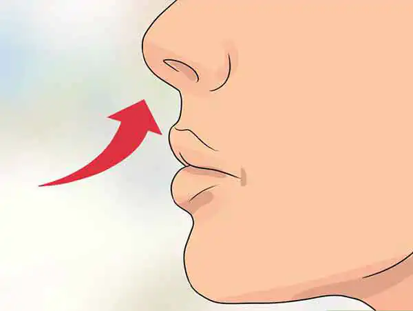 تعبیر خواب بینی ورم کرده + درآوردن دماغ از بینی و بزرگ شدن بینی دختر مجرد